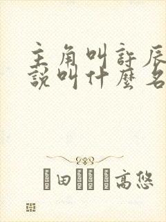 主角叫许辰的小说叫什么名字