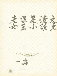 老婆是渣文大佬女主小说免费阅读