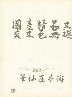 国产精品又黄又爽又色无遮挡网站