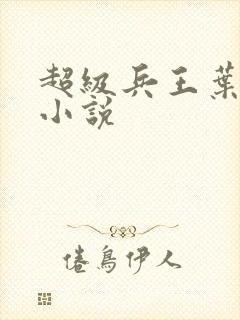 超级兵王叶谦 小说