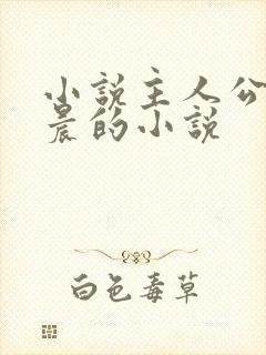 小说主人公叫苏晨的小说