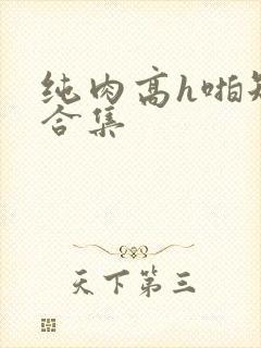 纯肉高h啪短文合集