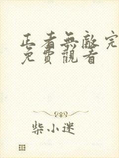 正者无敌完整版免费观看