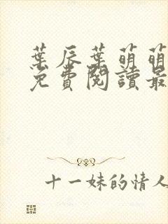 叶辰叶萌萌小说免费阅读最新章节