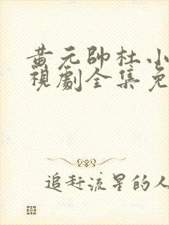 黄元帅杜小雨电视剧全集免费观看