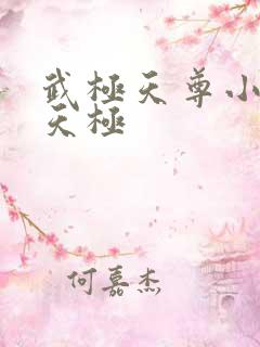 武极天尊小说陈天极