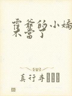 霍爷的小娇妻我不当了