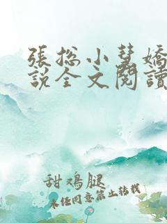 张总小慧娇妻小说全文阅读