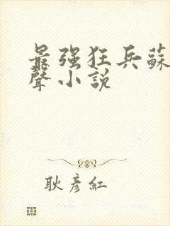 最强狂兵苏锐有声小说