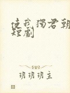 使我独君朝与暮短剧