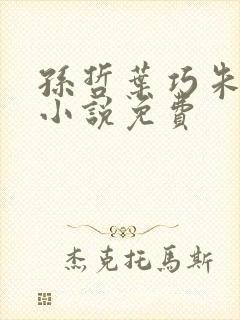 孙哲叶巧朱颜的小说免费