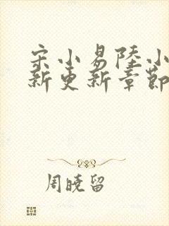 宋小易陆小婷最新更新章节笔趣阁