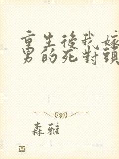 重生后我嫁给渣男的死对头宠上天