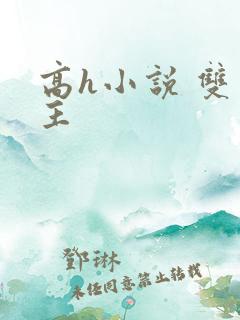 高h小说 双男主