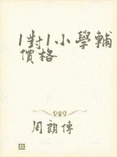 1对1小学辅导价格