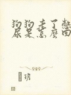 狗狗老了憋不住尿是怎么回事