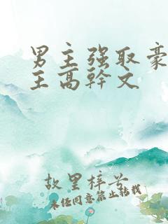 男主强取豪夺女主高干文