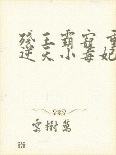 残王霸宠 重生逆天小毒妃