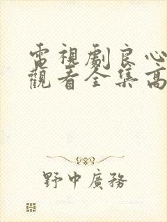 电视剧良心免费观看全集高清