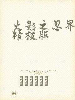 火影之忍界闪光精校版