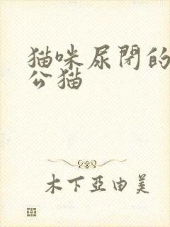 猫咪尿闭的症状公猫