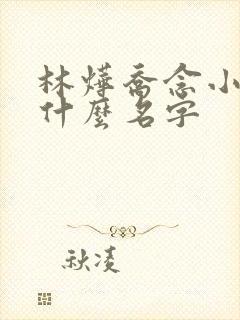 林烨乔念小说叫什么名字