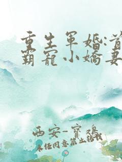 重生军婚:首长霸宠小娇妻