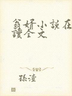 翁婿小说在线阅读全文