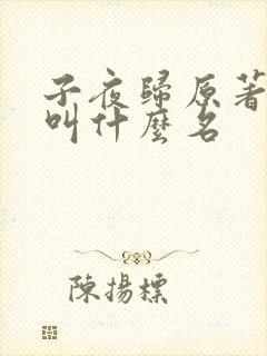 子夜归原著小说叫什么名