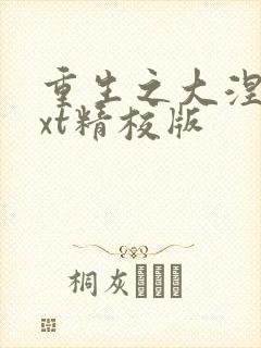 重生之大涅磐txt精校版