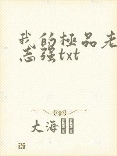 我的极品老婆方志强txt