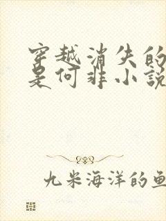 穿越消失的她我是何非小说