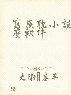 写原耽小说用什么软件