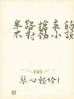 半路抢来的夫君不对劲小说免费阅读