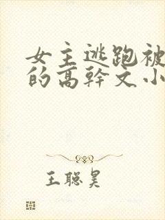 女主逃跑被捉回的高干文小说
