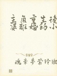 主角重生后跟老婆离婚的小说