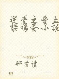 逆袭之爱上情敌柴鸡蛋小说版免费