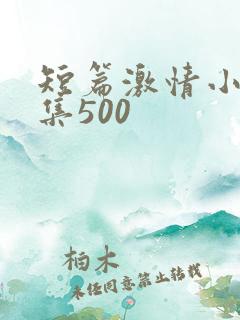 短篇激情小说合集500