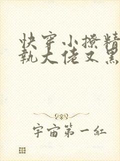 快穿小撩精:偏执大佬又黑化了txt下载