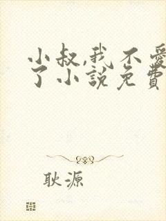 小叔,我不爱你了小说免费阅读全文