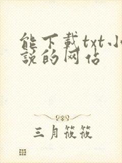 能下载txt小说的网站