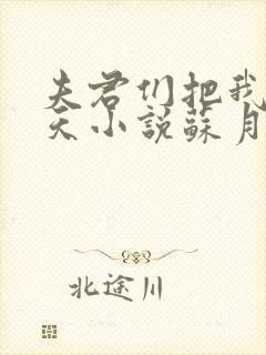 夫君们把我宠上天小说苏月瑶免费阅读