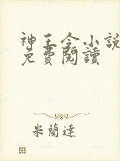 神王令小说全文免费阅读