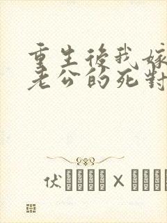 重生后我嫁给了老公的死对头 短剧