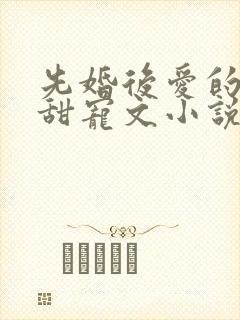 先婚后爱的古言甜宠文小说