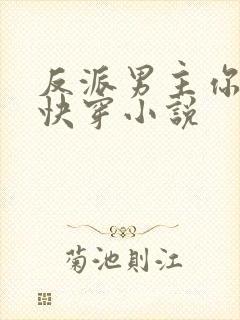 反派男主你好坏快穿小说