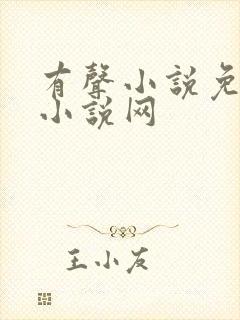 有声小说免费听小说网