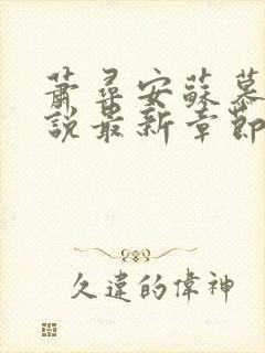 萧寻安苏慕晴小说最新章节