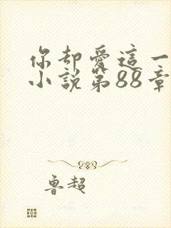 你却爱这一个他小说第88章