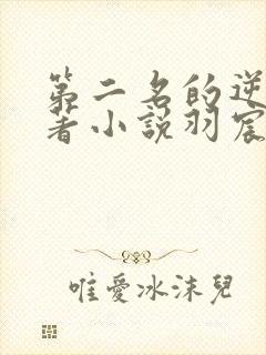 第二名的逆袭原著小说羽宸寰